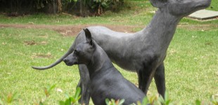 Xoloitzcuintles, Mexico City