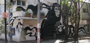 Street Art in Mexico City and Oaxaca