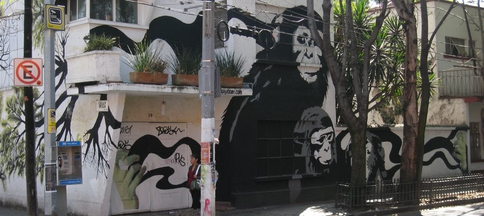 Street Art in Mexico City and Oaxaca