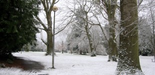 Snowy Morning in Volunteer Park