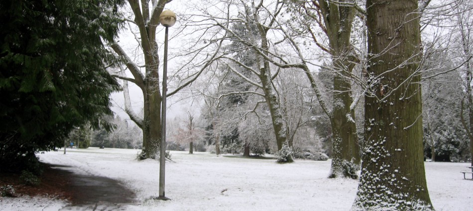 Snowy Morning in Volunteer Park